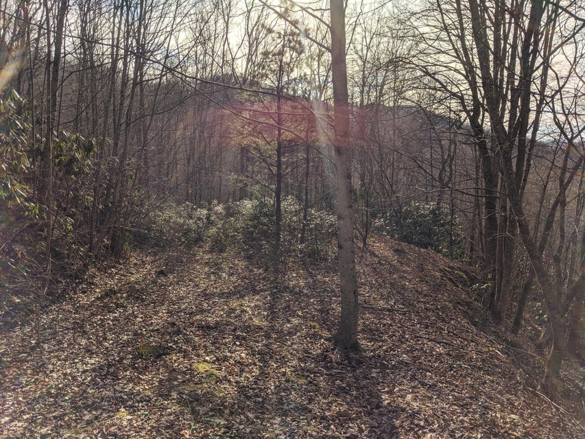 Photo #2: Tbd Locust Gap Road
