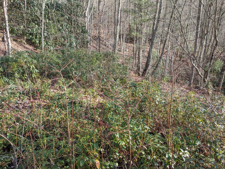 Photo #3: Tbd Locust Gap Road