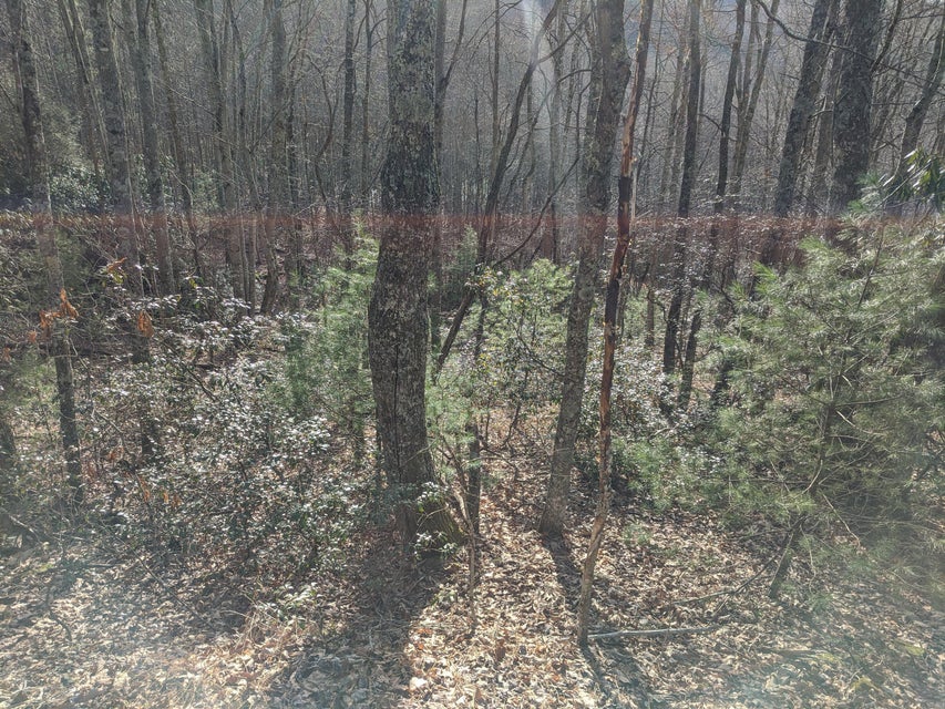 Photo #4: Tbd Locust Gap Road
