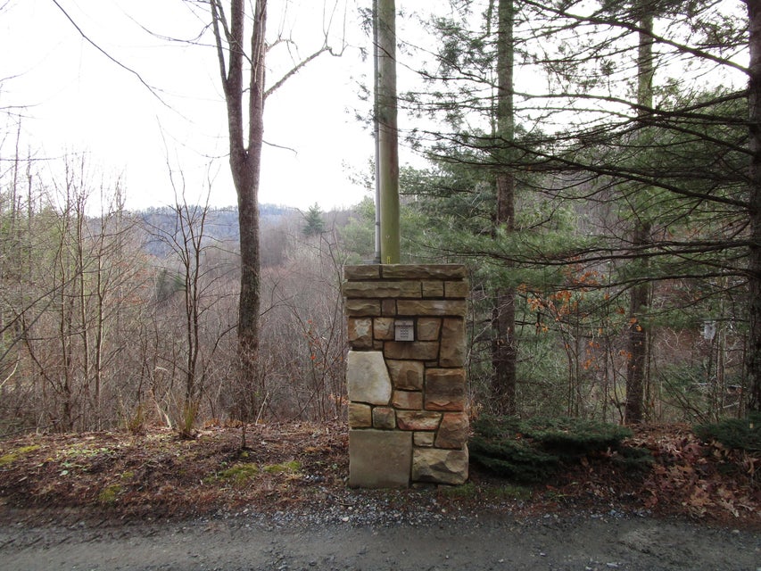 Photo #5: Tbd Of Heaton Branch Road