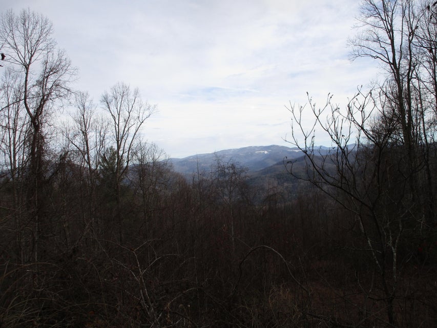 Photo #17: Tbd Of Heaton Branch Road