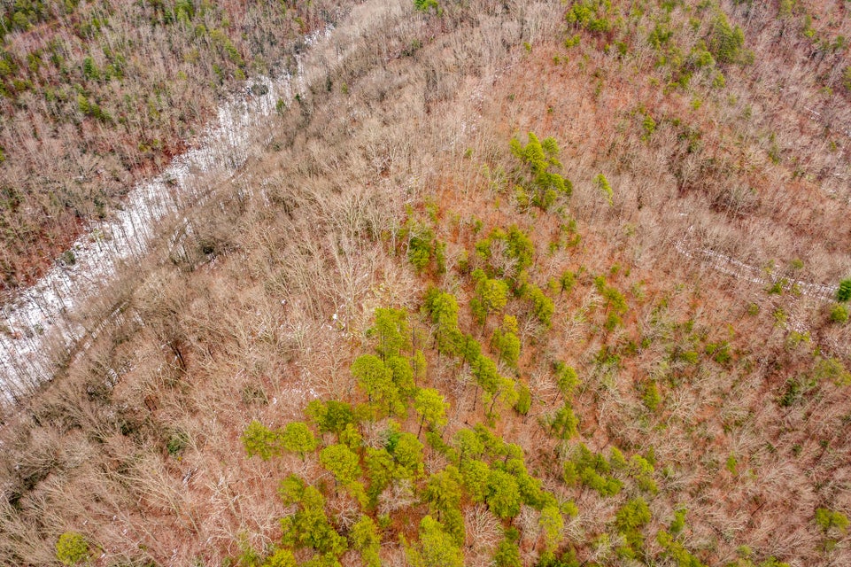 Photo #10: 2481 Happy Hollow Road