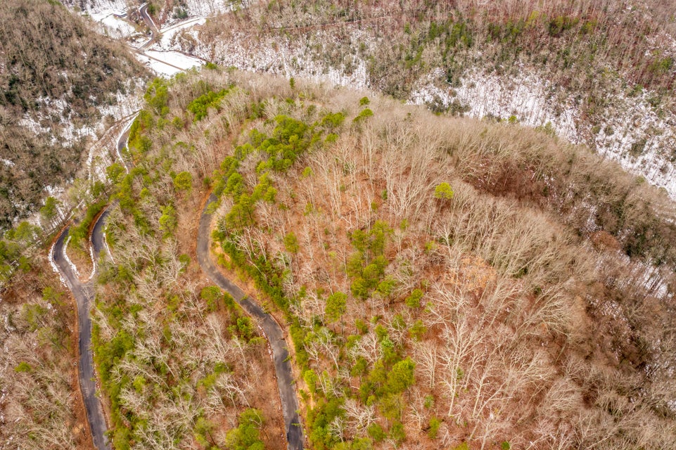 Photo #11: 2481 Happy Hollow Road