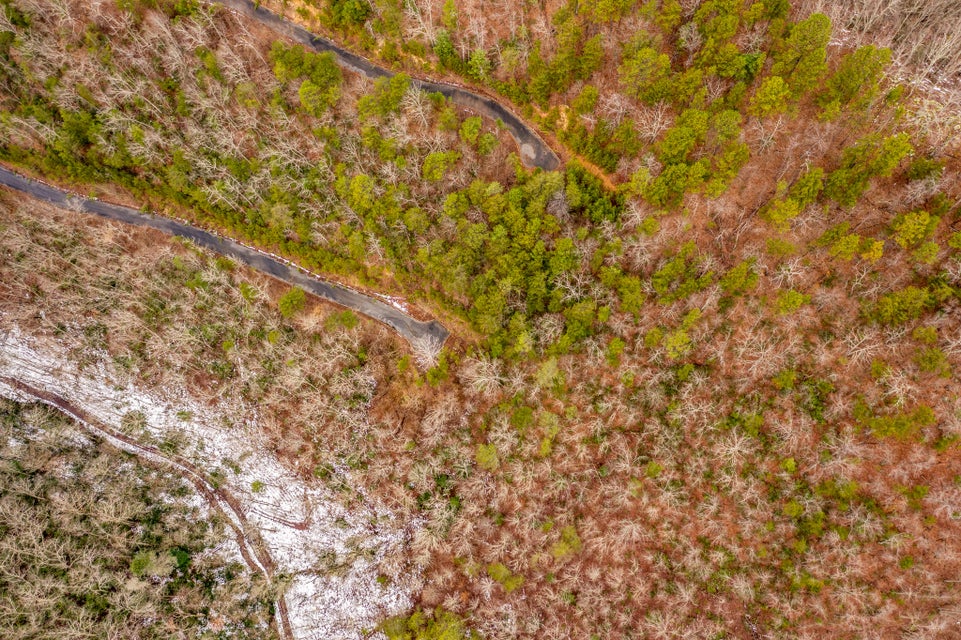 Photo #14: 2481 Happy Hollow Road