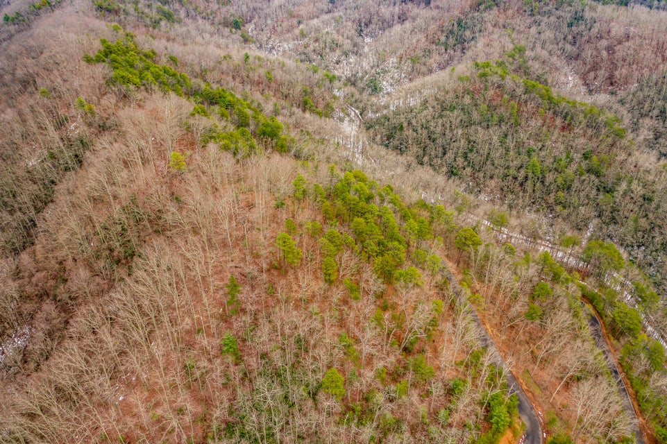 Photo #19: 2481 Happy Hollow Road
