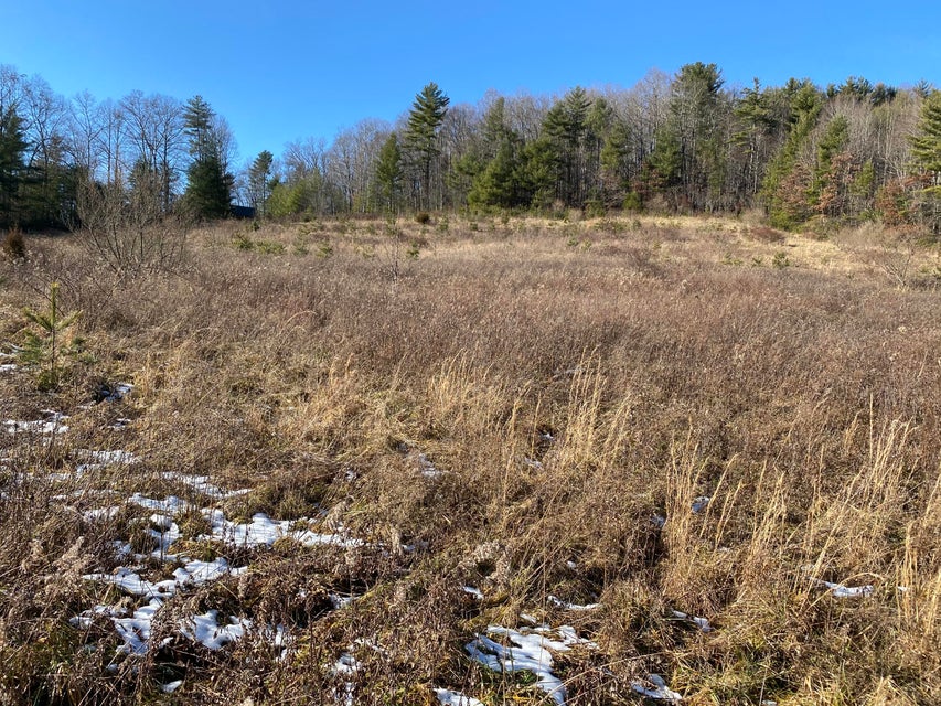 Photo #2: Tbd Highway 67
