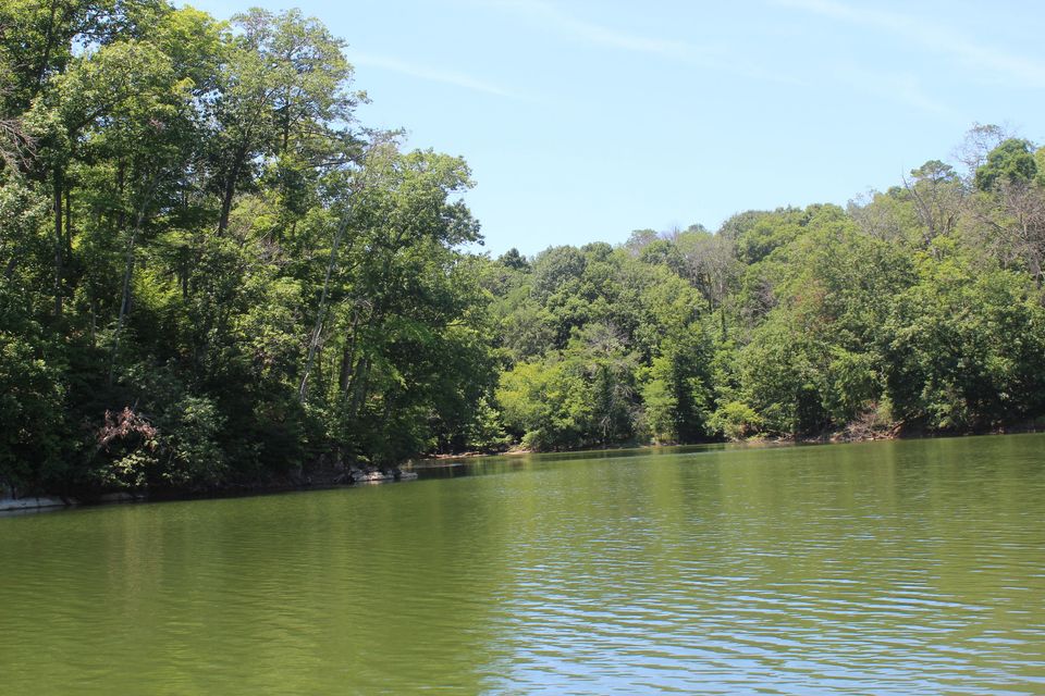 Photo #6: Lot 205 Harbor Point