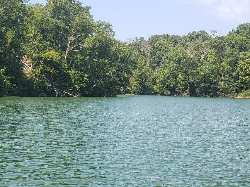 Photo #8: Lot 205 Harbor Point