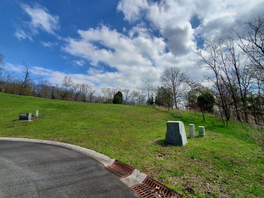 Photo #9: Lot 205 Harbor Point