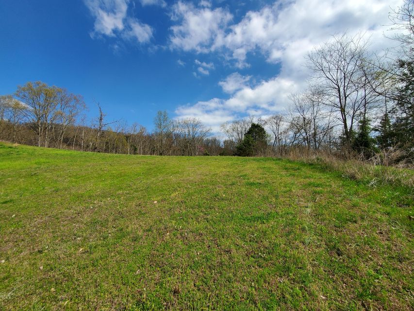 Photo #12: Lot 205 Harbor Point