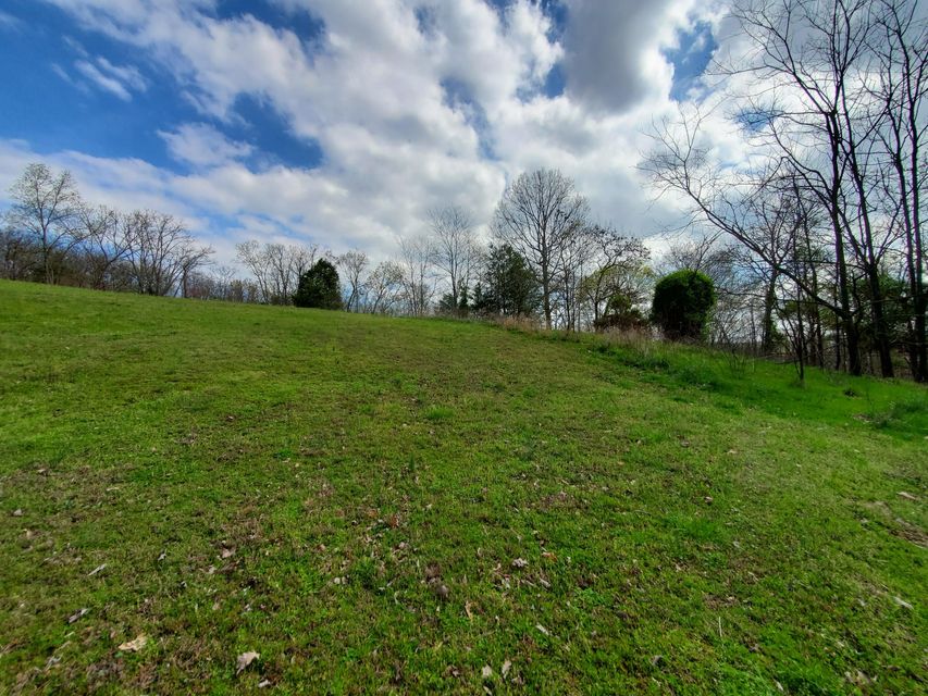 Photo #13: Lot 205 Harbor Point