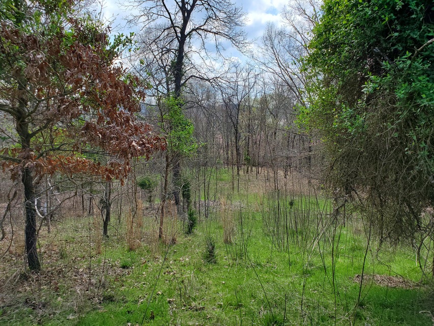 Photo #14: Lot 205 Harbor Point