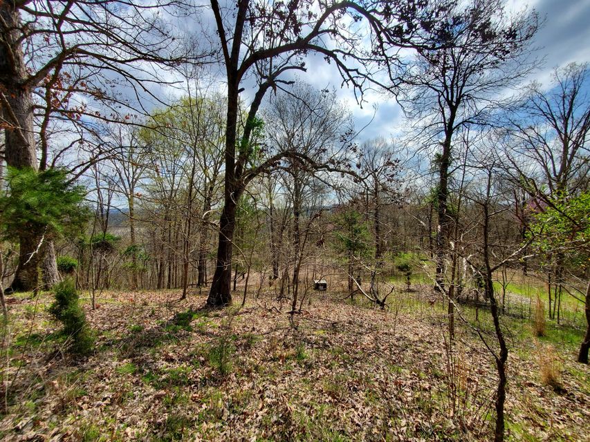 Photo #16: Lot 205 Harbor Point
