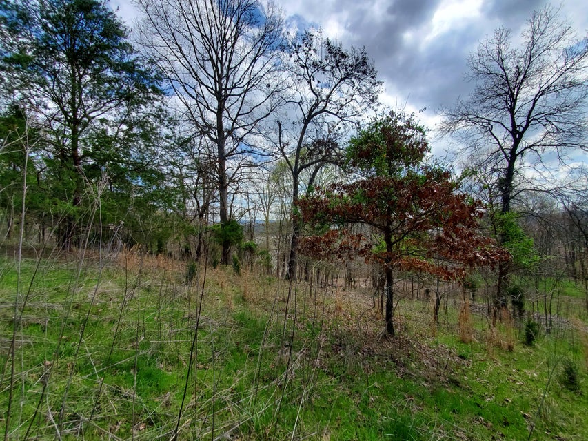 Photo #17: Lot 205 Harbor Point