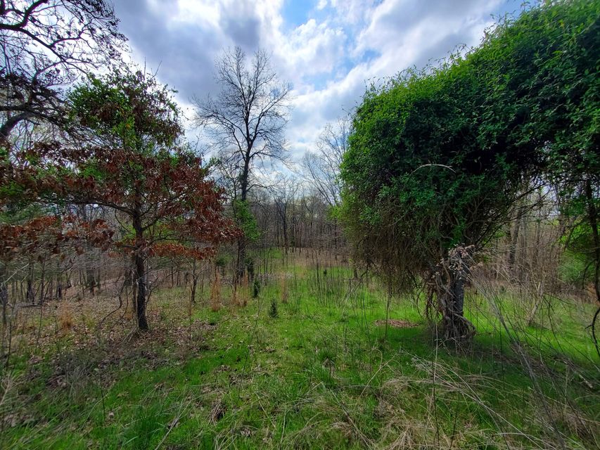 Photo #18: Lot 205 Harbor Point