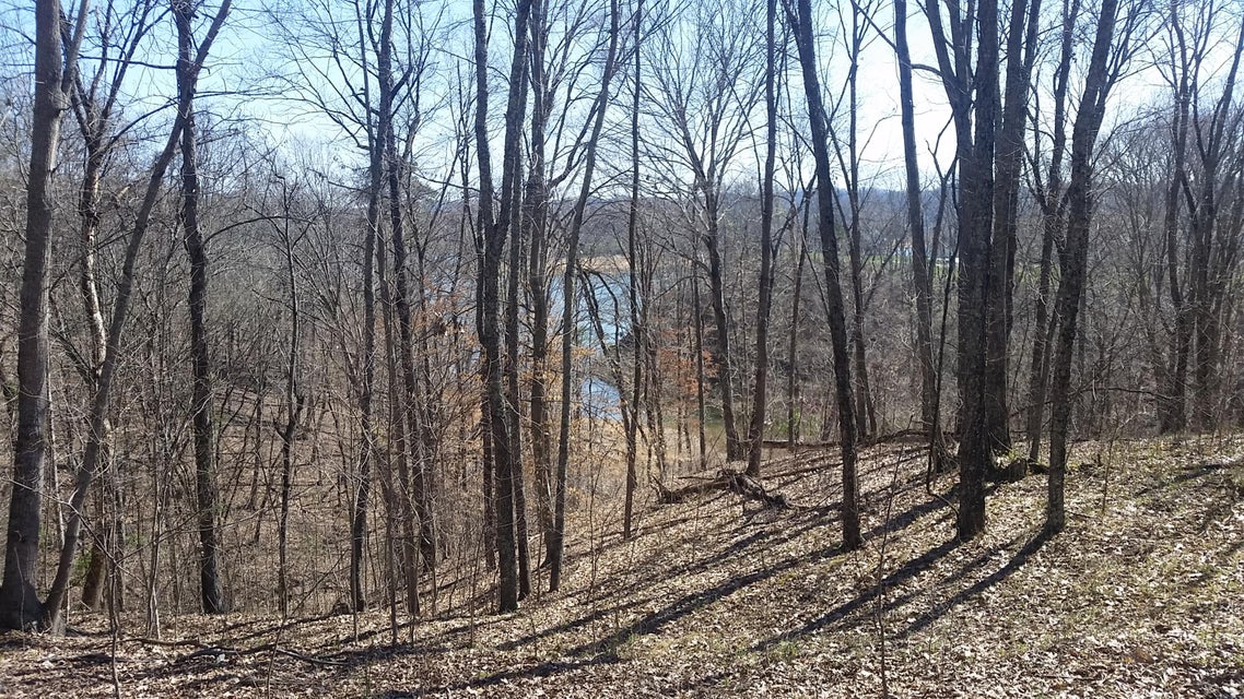 Photo #20: Lot 205 Harbor Point