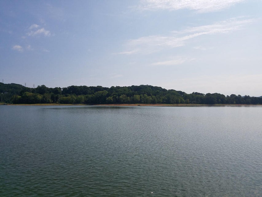 Photo #29: Lot 205 Harbor Point