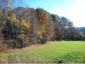 Photo #1: Tbd Powder Hollow Road Road