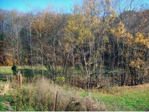 Photo #2: Tbd Powder Hollow Road Road