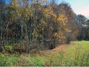 Photo #4: Tbd Powder Hollow Road Road