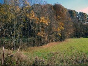 Photo #7: Tbd Powder Hollow Road Road