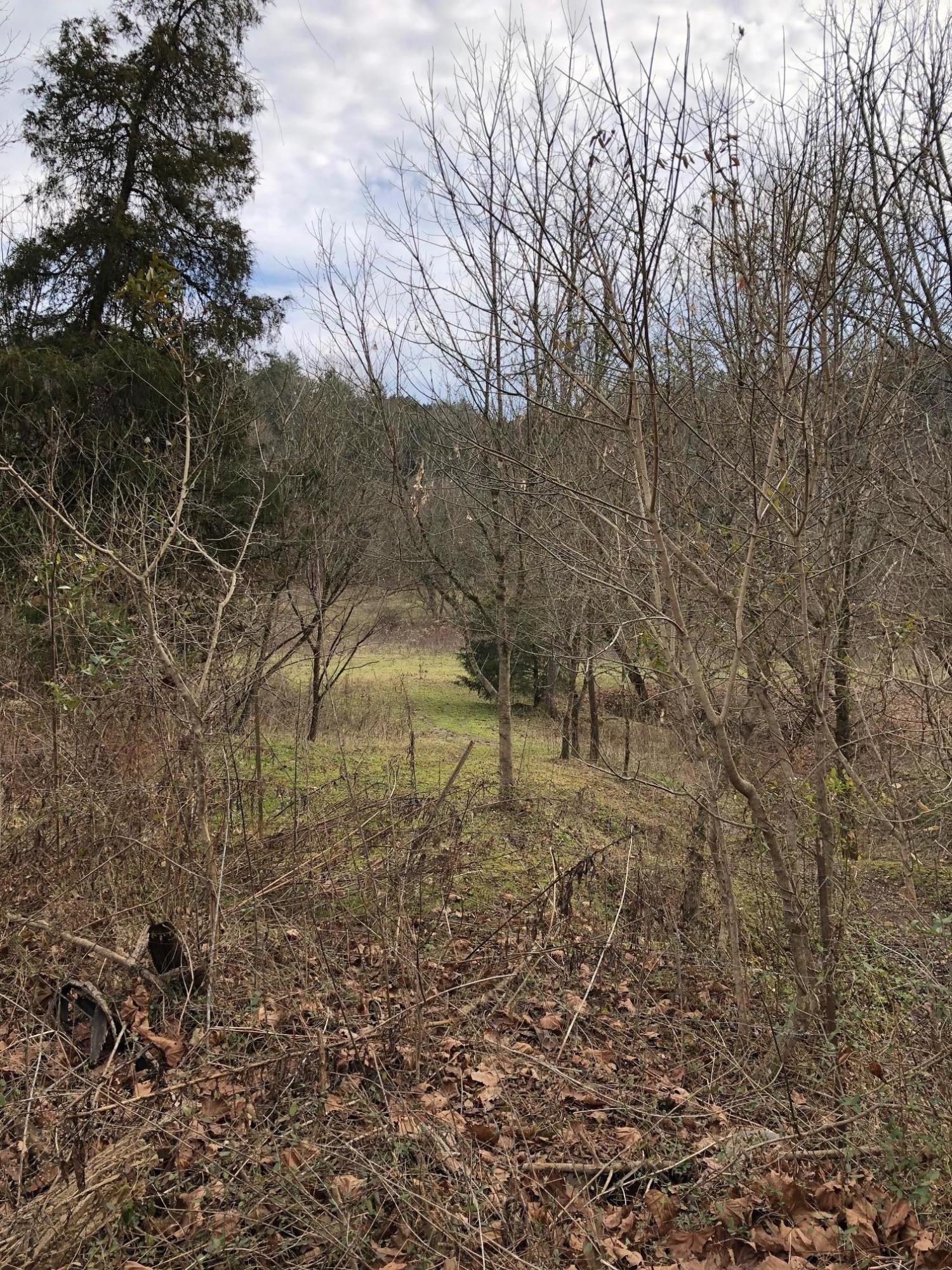 Photo #8: 0 Hunters Valley East