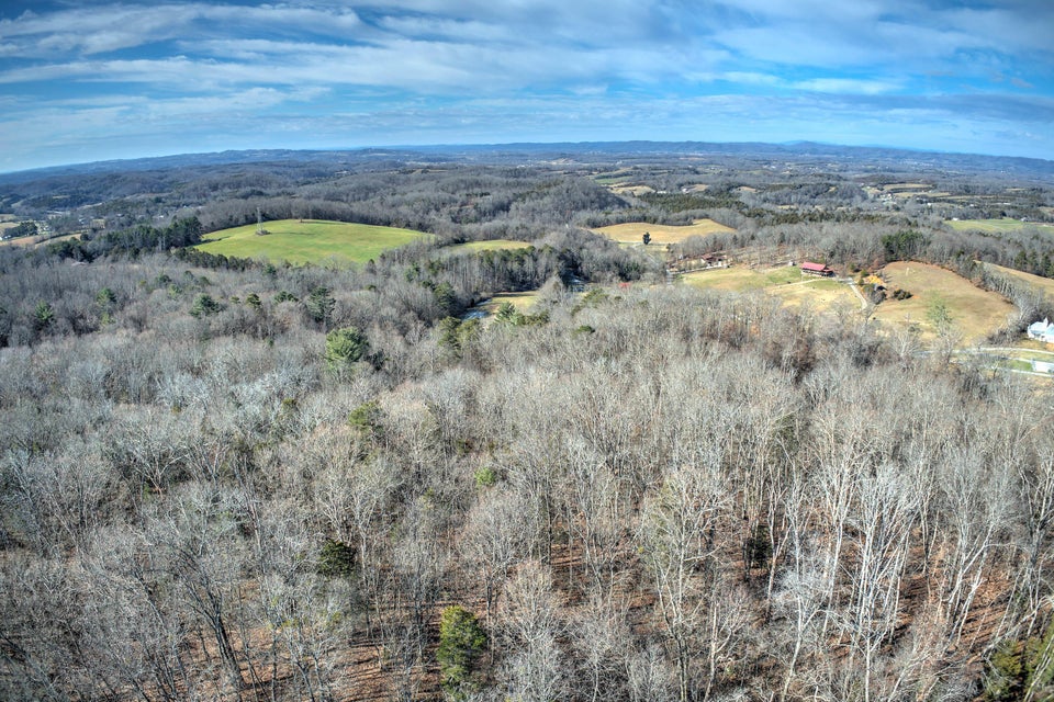 Photo #5: Lt 4 Old Baileyton Road