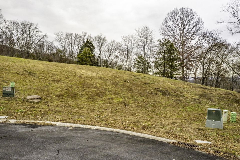 Photo #3: Lot 205 Harbor Point