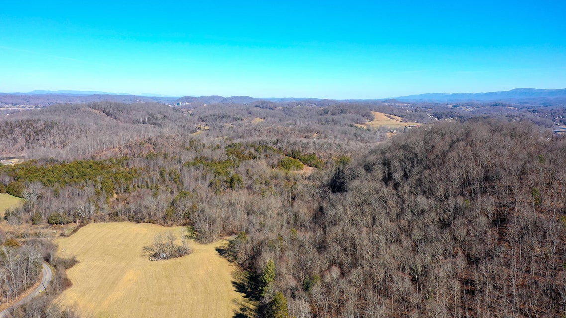 Photo #13: 1225 Hunting Hill Road