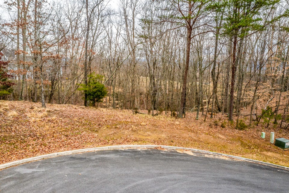 Photo #3: 8026 Mountain Ridge Drive