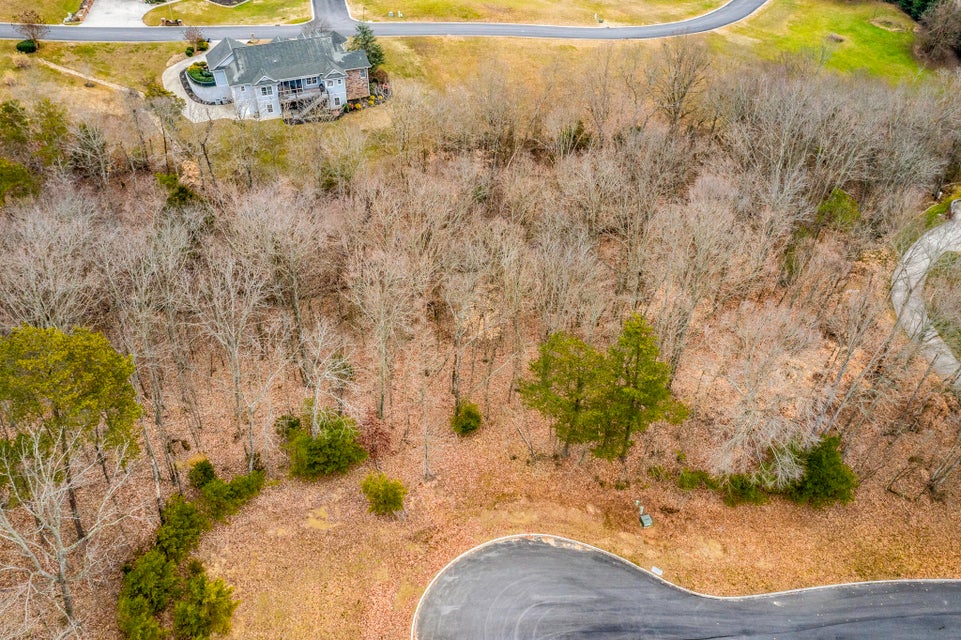 Photo #4: 8026 Mountain Ridge Drive
