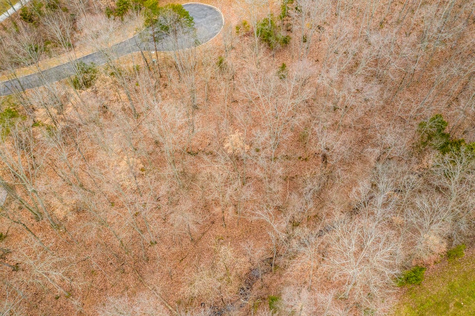 Photo #33: 8026 Mountain Ridge Drive