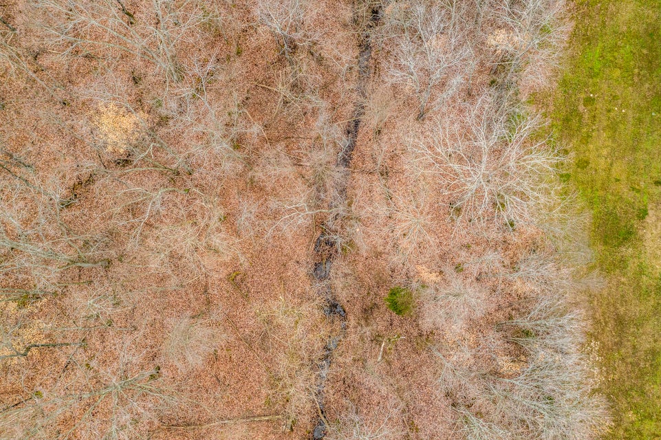 Photo #34: 8026 Mountain Ridge Drive