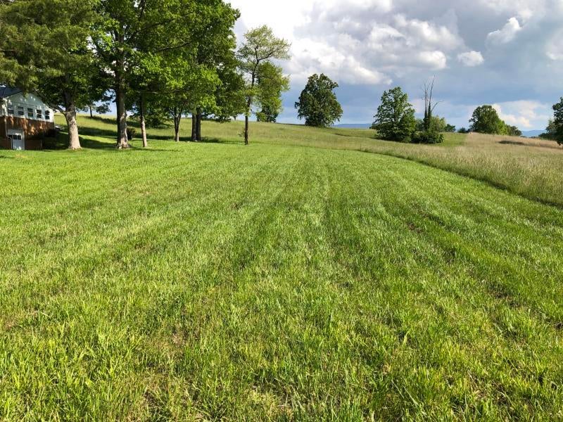 Photo #3: Tbd Mitchell Road