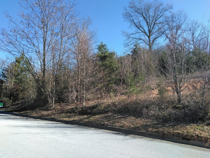 Photo #1: 704 Sugarwood Court