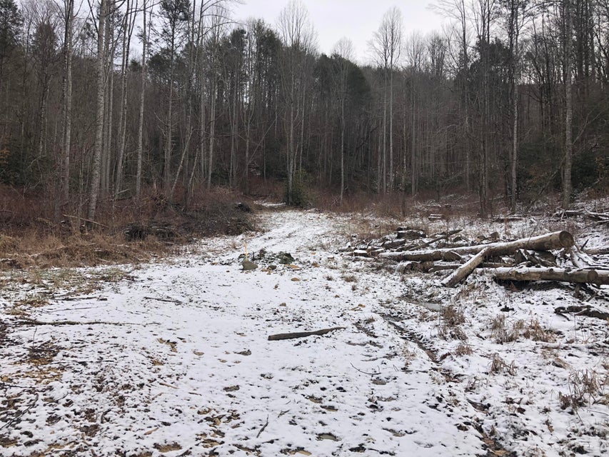 Photo #2: Tbd Hampton Creek Rd