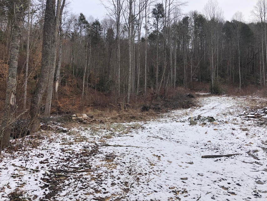 Photo #3: Tbd Hampton Creek Rd
