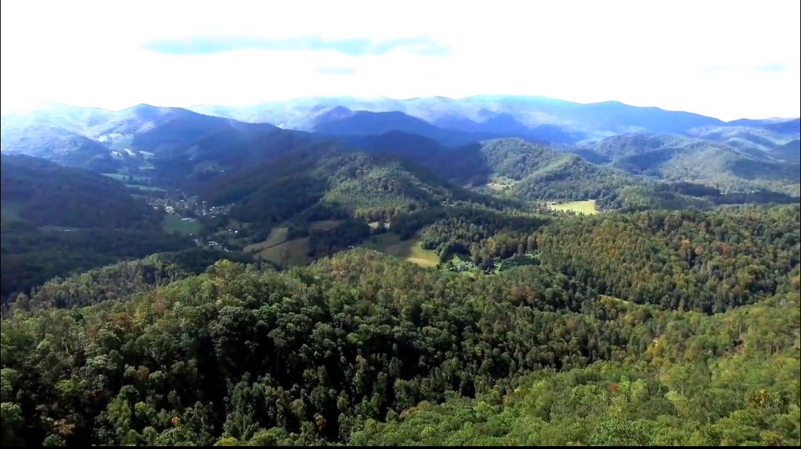 Photo #5: Tbd Hampton Creek Rd