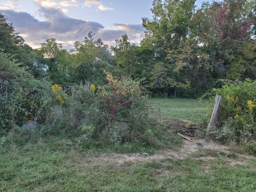 Photo #4: - Brookdale Drive