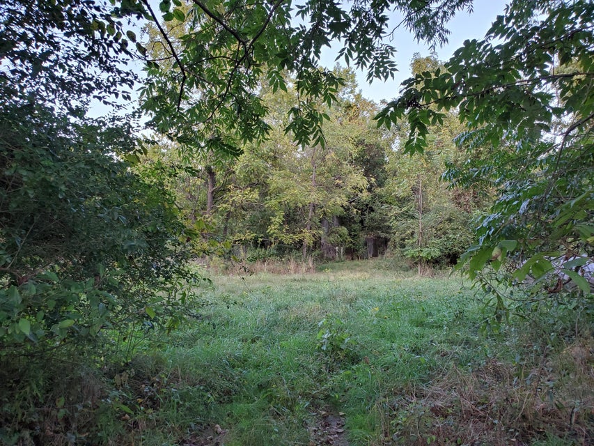 Photo #8: - Brookdale Drive
