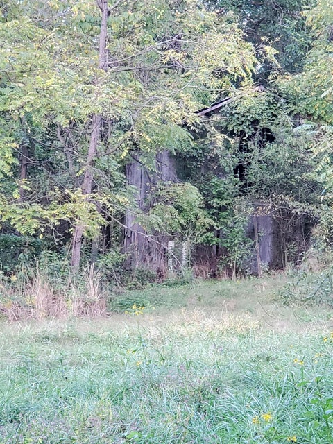 Photo #7: - Brookdale Drive