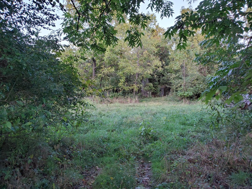 Photo #9: - Brookdale Drive