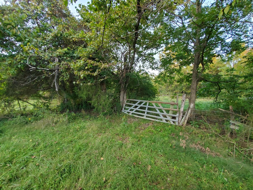 Photo #10: - Brookdale Drive