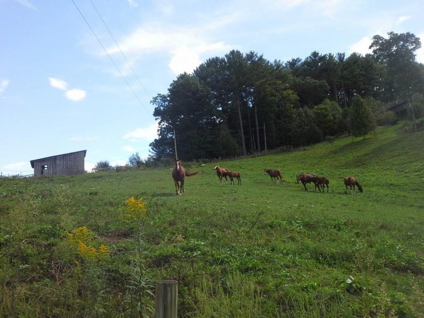 Photo #8: Tbd South Of Reece Hill Rd