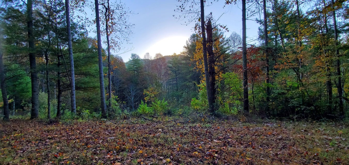 Photo #28: 255 Ridgecrest Lane
