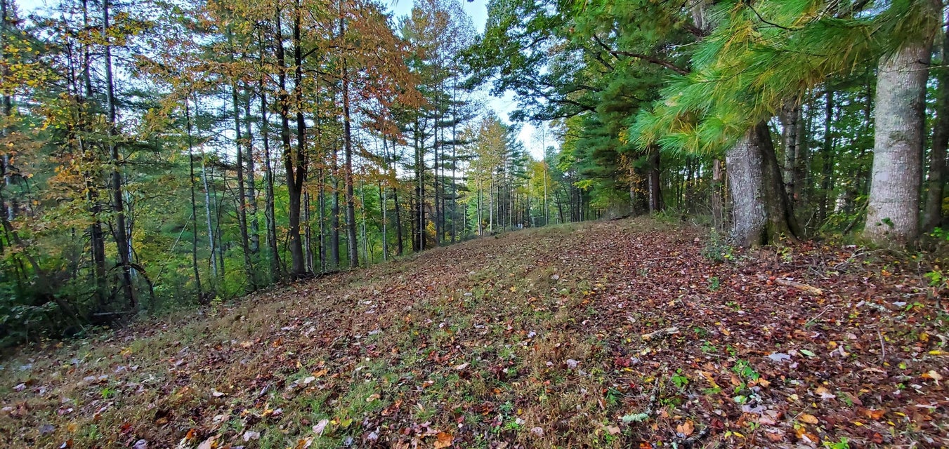Photo #29: 255 Ridgecrest Lane