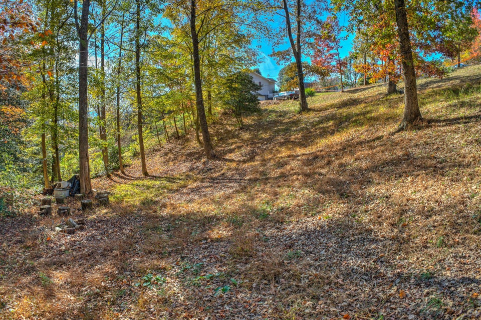 Photo #12: 2 Natalie Drive