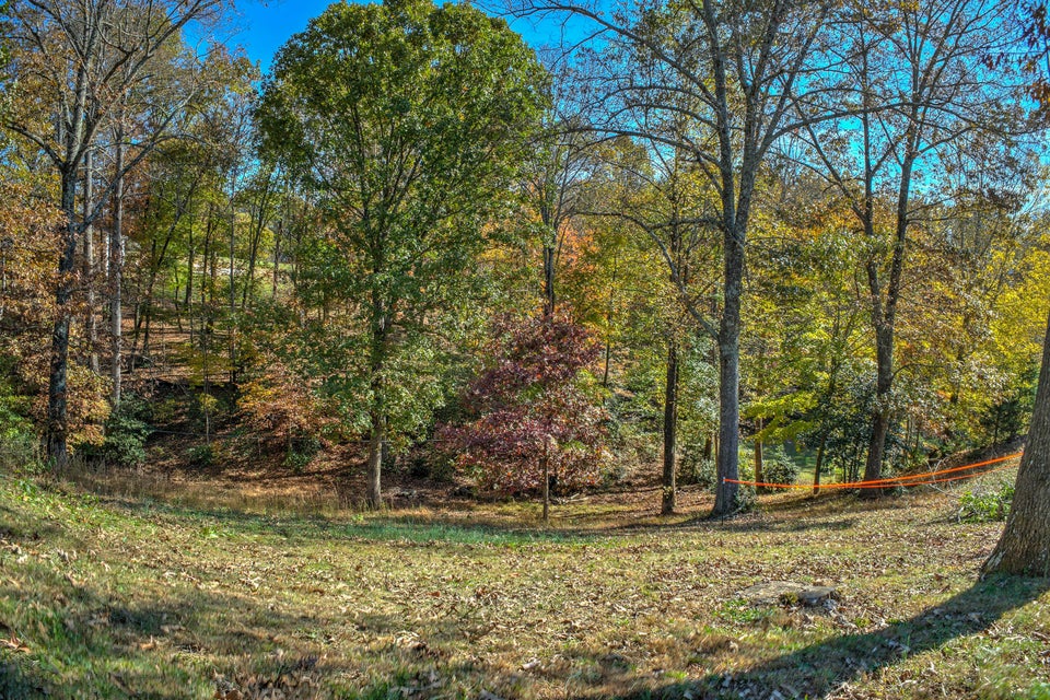 Photo #19: 2 Natalie Drive