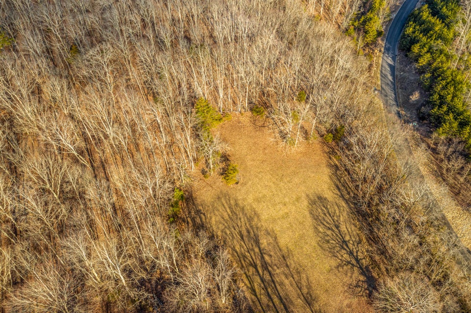 Photo #3: 9043 Paradise View Drive