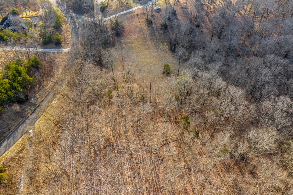 Photo #4: 9043 Paradise View Drive